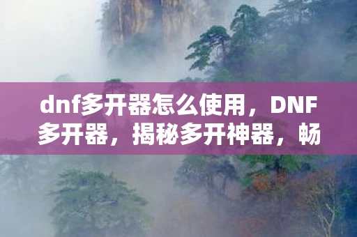 dnf多开器怎么使用，DNF多开器，揭秘多开神器，畅游DNF世界的秘密