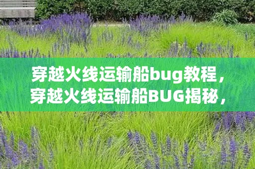 穿越火线运输船bug教程，穿越火线运输船BUG揭秘，挑战与乐趣并存