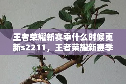 王者荣耀新赛季什么时候更新s2211,王者荣耀新赛季更新时间解析,S22赛季何时来临? 王者荣耀新赛季什么时候更新s2211,王者荣耀新赛季更新时间解析,S22赛季何时来临?