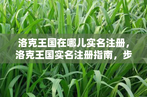 洛克王国在哪儿实名注册，洛克王国实名注册指南，步骤、奖励与防沉迷解析