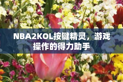 NBA2KOL按键精灵图片