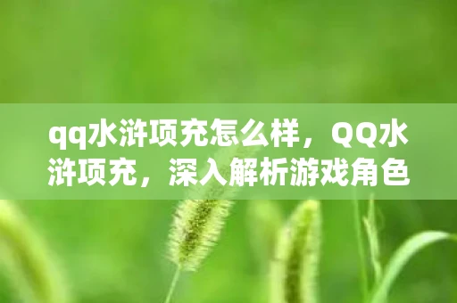 qq水浒项充怎么样,QQ水浒项充,深入解析游戏角色与策略 qq水浒项充怎么样,QQ水浒项充,深入解析游戏角色与策略
