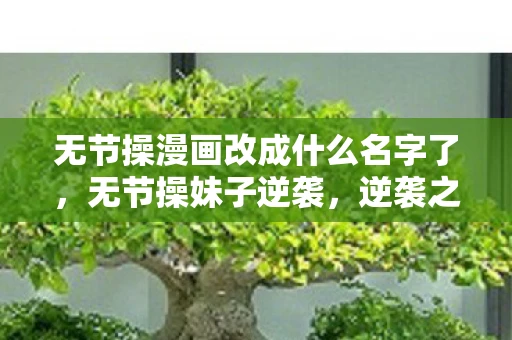 无节操漫画改成什么名字了，无节操妹子逆袭，逆袭之路的挑战与成长