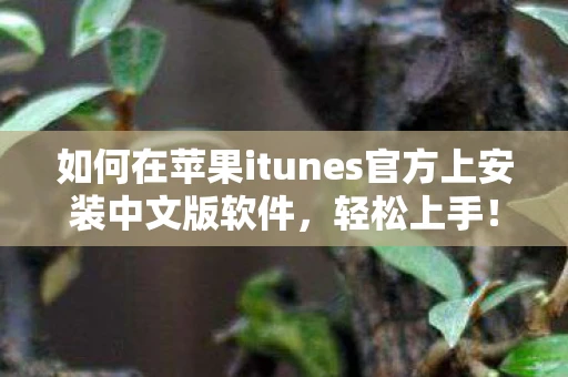 如何在苹果itunes官方上安装中文版软件，轻松上手！在苹果iTunes官方上安装中文版教程