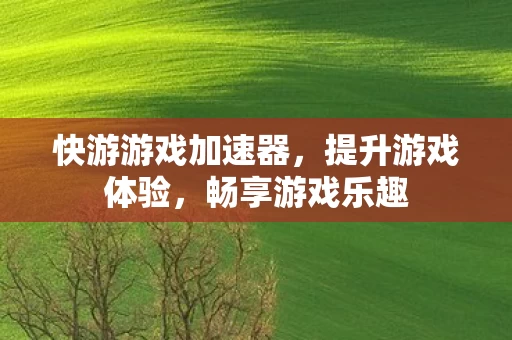 快游游戏加速器图片