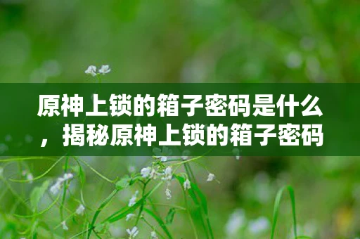原神上锁的箱子密码是什么,揭秘原神上锁的箱子密码 原神上锁的箱子密码是什么,揭秘原神上锁的箱子密码