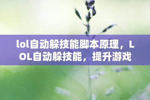 lol自动躲技能脚本原理,LOL自动躲技能,提升游戏体验的利器 lol自动躲技能脚本原理,LOL自动躲技能,提升游戏体验的利器