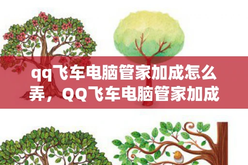 qq飞车电脑管家加成怎么弄，QQ飞车电脑管家加成，提升游戏体验的全面指南