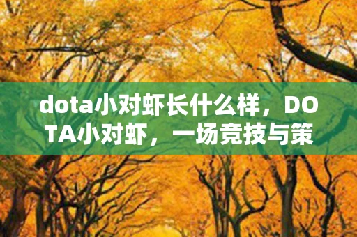 dota小对虾长什么样，DOTA小对虾，一场竞技与策略的完美结合