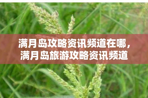 满月岛攻略资讯频道在哪,满月岛旅游攻略资讯频道 满月岛攻略资讯频道在哪,满月岛旅游攻略资讯频道