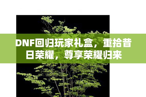 DNF回归玩家礼盒图片