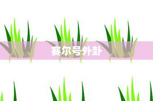 赛尔号外卦