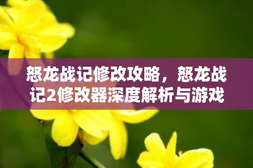 怒龙战记修改攻略,怒龙战记2修改器深度解析与游戏内体验探讨 怒龙战记修改攻略,怒龙战记2修改器深度解析与游戏内体验探讨