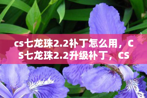 cs七龙珠2.2补丁怎么用,CS七龙珠2.2升级补丁,CS七龙珠2.2全新升级补丁发布,游戏体验再升级 cs七龙珠2.2补丁怎么用,CS七龙珠2.2升级补丁,CS七龙珠2.2全新升级补丁发布,游戏体验再升级