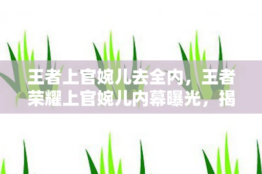 王者上官婉儿去全内，王者荣耀上官婉儿内幕曝光，揭秘英雄背后的故事