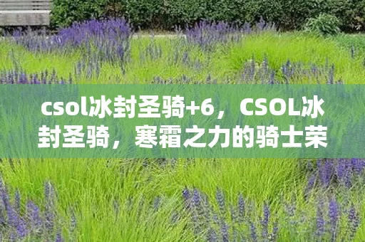 csol冰封圣骑+6，CSOL冰封圣骑，寒霜之力的骑士荣耀