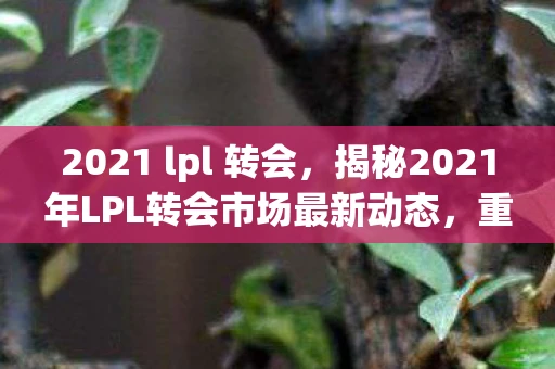 2021 lpl 转会，揭秘2021年LPL转会市场最新动态，重磅消息接连不断！