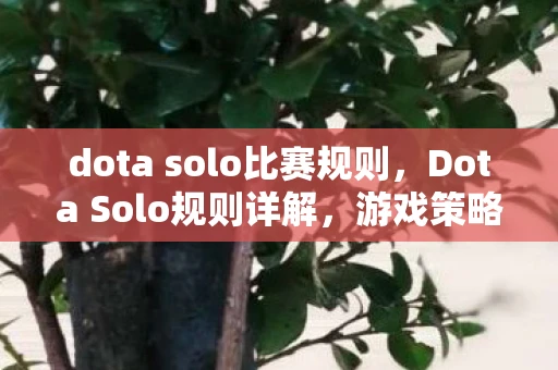 dota solo比赛规则，Dota Solo规则详解，游戏策略与技巧分享