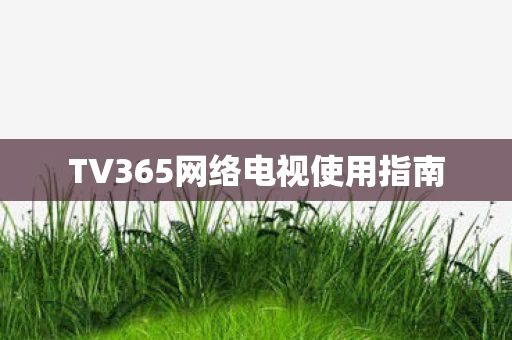TV365网络电视使用指南 TV365网络电视使用指南