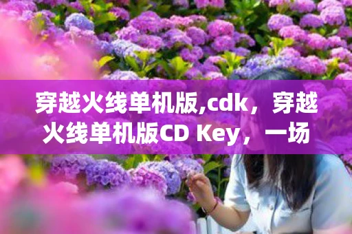穿越火线单机版,cdk，穿越火线单机版CD Key，一场独特的游戏体验