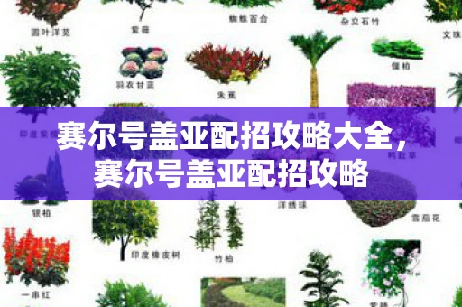 赛尔号盖亚配招攻略大全,赛尔号盖亚配招攻略 赛尔号盖亚配招攻略大全,赛尔号盖亚配招攻略