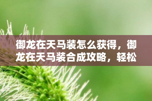 御龙在天马装怎么获得，御龙在天马装合成攻略，轻松打造顶级装备