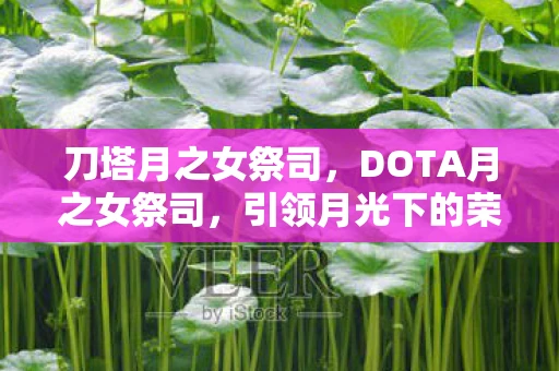 刀塔月之女祭司，DOTA月之女祭司，引领月光下的荣耀战场