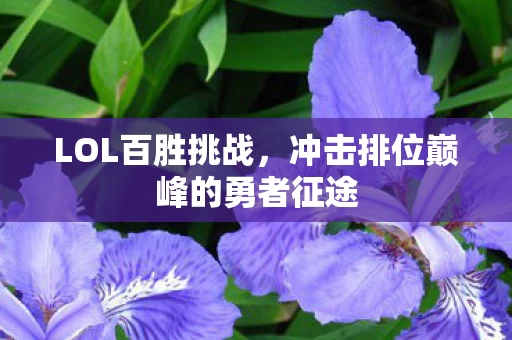 冲击排位巅峰的勇者征途图片