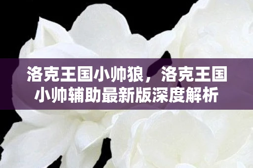洛克王国小帅狼,洛克王国小帅辅助最新版深度解析 洛克王国小帅狼,洛克王国小帅辅助最新版深度解析