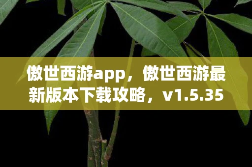 傲世西游app，傲世西游最新版本下载攻略，v1.5.35稳定版详解与下载方法