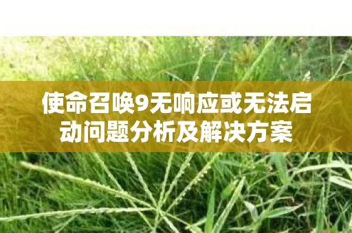 使命召唤9无响应或无法启动问题分析及解决方案图片