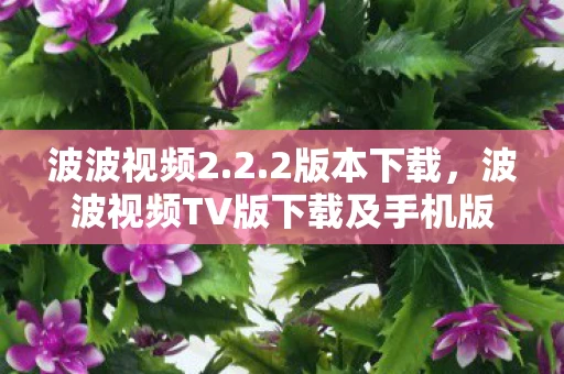 波波视频2.2.2版本下载，波波视频TV版下载及手机版下载攻略