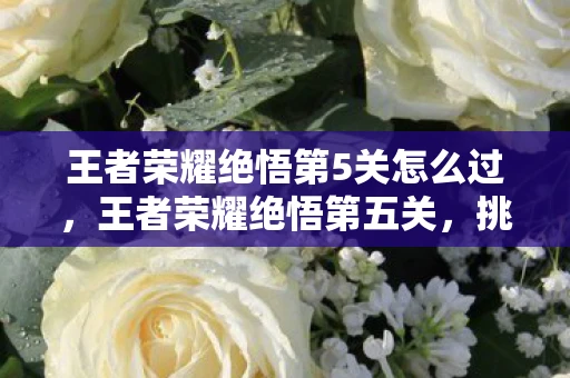 王者荣耀绝悟第5关怎么过,王者荣耀绝悟第五关,挑战与攻略 王者荣耀绝悟第5关怎么过,王者荣耀绝悟第五关,挑战与攻略