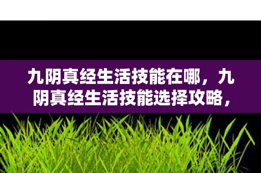 九阴真经生活技能在哪，九阴真经生活技能选择攻略，学什么技能好？