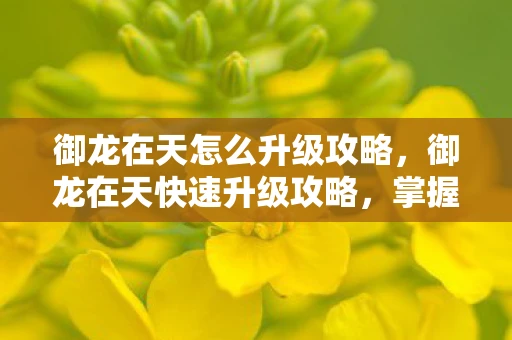 御龙在天怎么升级攻略,御龙在天快速升级攻略,掌握这些秘籍,轻松提升等级! 御龙在天怎么升级攻略,御龙在天快速升级攻略,掌握这些秘籍,轻松提升等级!