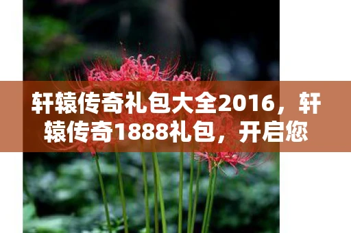 轩辕传奇礼包大全2016,轩辕传奇1888礼包,开启您的传奇之旅 轩辕传奇礼包大全2016,轩辕传奇1888礼包,开启您的传奇之旅