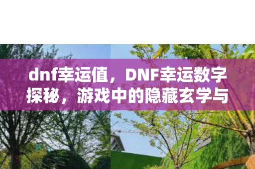 dnf幸运值，DNF幸运数字探秘，游戏中的隐藏玄学与玩家心得