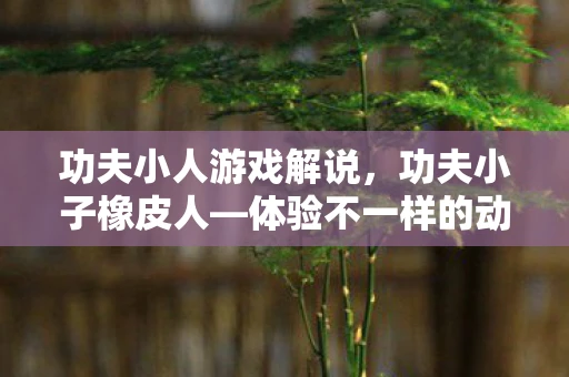 功夫小人游戏解说，功夫小子橡皮人—体验不一样的动作冒险之旅