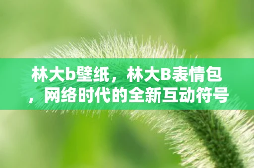 林大b壁纸，林大B表情包，网络时代的全新互动符号
