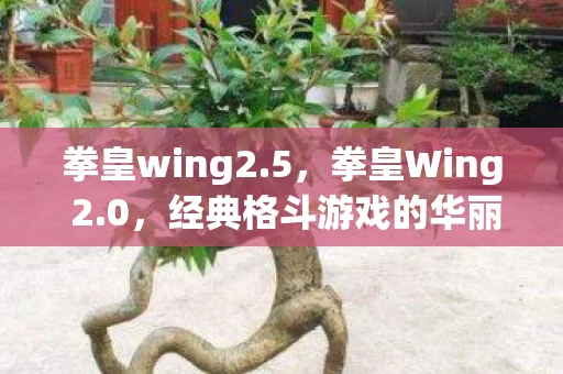 拳皇wing2.5,拳皇Wing 2.0,经典格斗游戏的华丽升级 拳皇wing2.5,拳皇Wing 2.0,经典格斗游戏的华丽升级