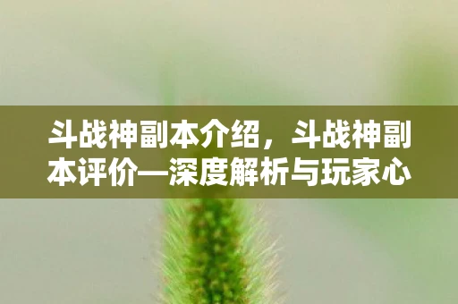 斗战神副本介绍,斗战神副本评价—深度解析与玩家心得分享 斗战神副本介绍,斗战神副本评价—深度解析与玩家心得分享