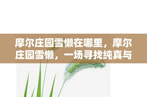 摩尔庄园雪懒在哪里,摩尔庄园雪懒,一场寻找纯真与快乐的冒险之旅 摩尔庄园雪懒在哪里,摩尔庄园雪懒,一场寻找纯真与快乐的冒险之旅