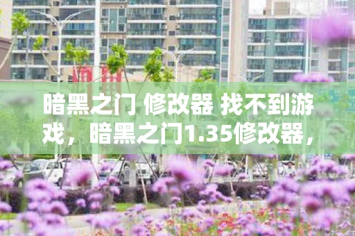 暗黑之门 修改器 找不到游戏，暗黑之门1.35修改器，深度解析与实战指南