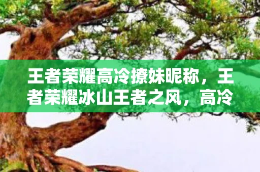 王者荣耀高冷撩妹昵称,王者荣耀冰山王者之风,高冷撩妹名字大揭秘 王者荣耀高冷撩妹昵称,王者荣耀冰山王者之风,高冷撩妹名字大揭秘