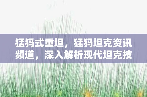 猛犸式重坦，猛犸坦克资讯频道，深入解析现代坦克技术的最新动态