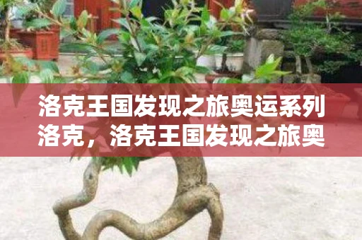 洛克王国发现之旅奥运系列洛克，洛克王国发现之旅奥运系列，运动与魔法的完美结合