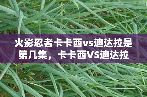 火影忍者卡卡西vs迪达拉是第几集，卡卡西VS迪达拉，火影忍者终极对决解析