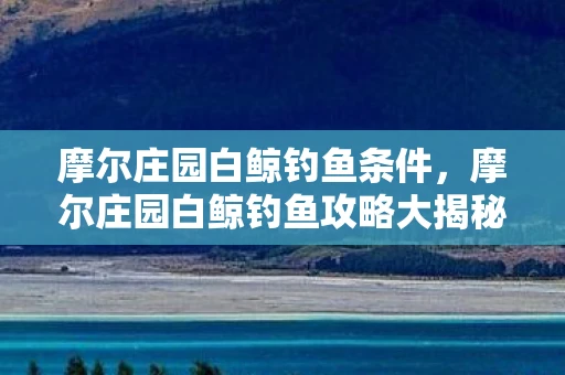 摩尔庄园白鲸钓鱼条件，摩尔庄园白鲸钓鱼攻略大揭秘—轻松钓取白鲸秘籍