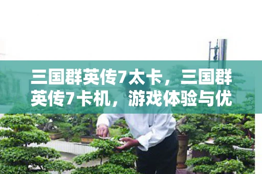 三国群英传7太卡，三国群英传7卡机，游戏体验与优化建议