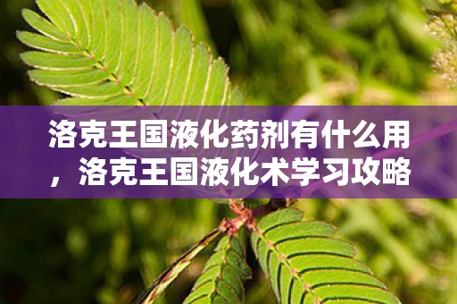 洛克王国液化药剂有什么用,洛克王国液化术学习攻略 洛克王国液化药剂有什么用,洛克王国液化术学习攻略